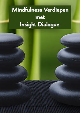 Insight Dialogue introductiecursus